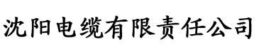 麻花星空mv天美电缆厂logo